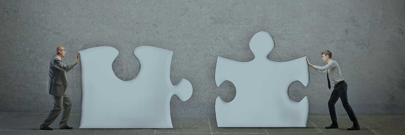 Business Consultancy Services